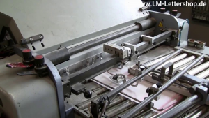 Video - Leporellofalz